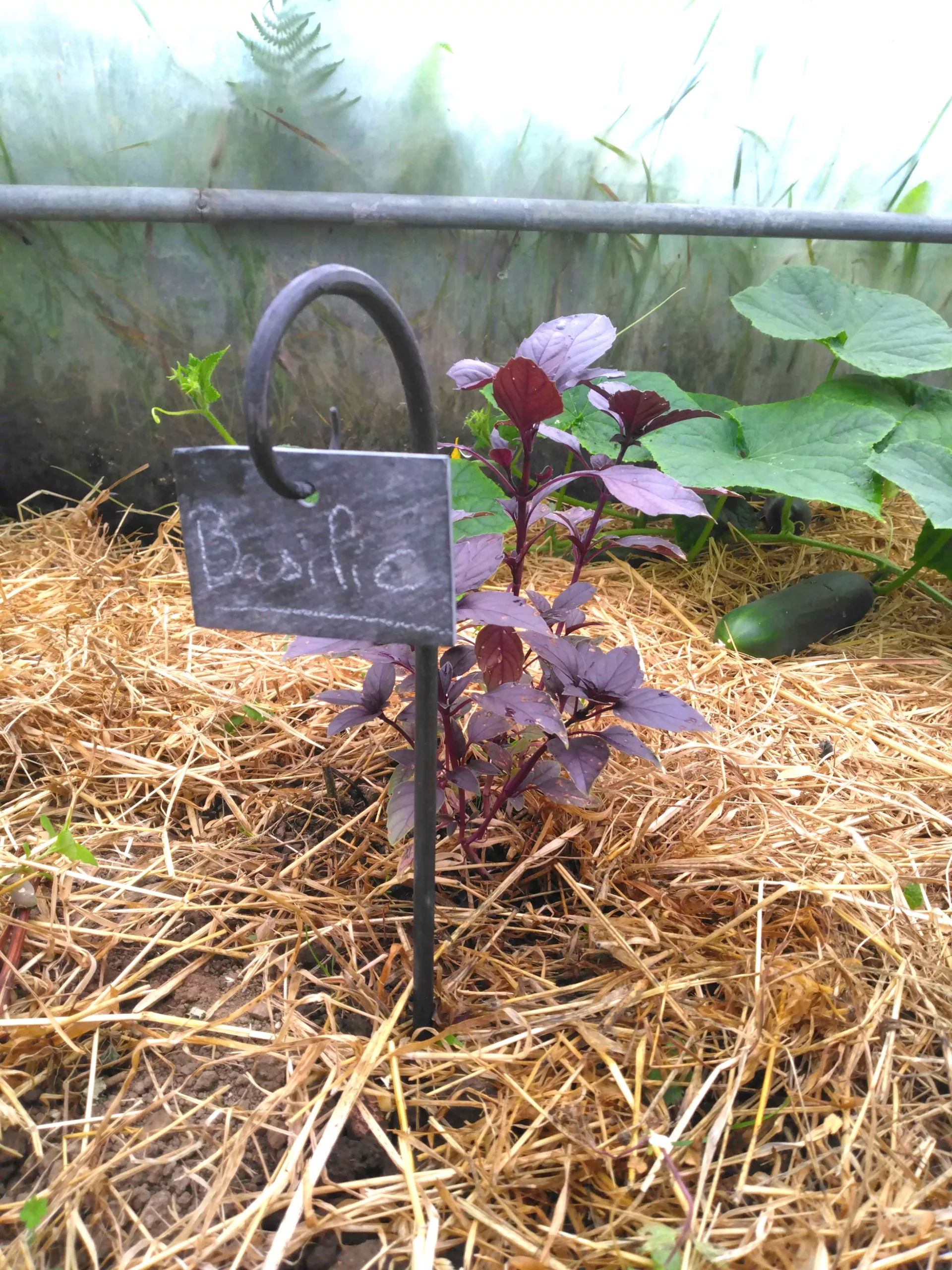 Porte étiquette pour jardin